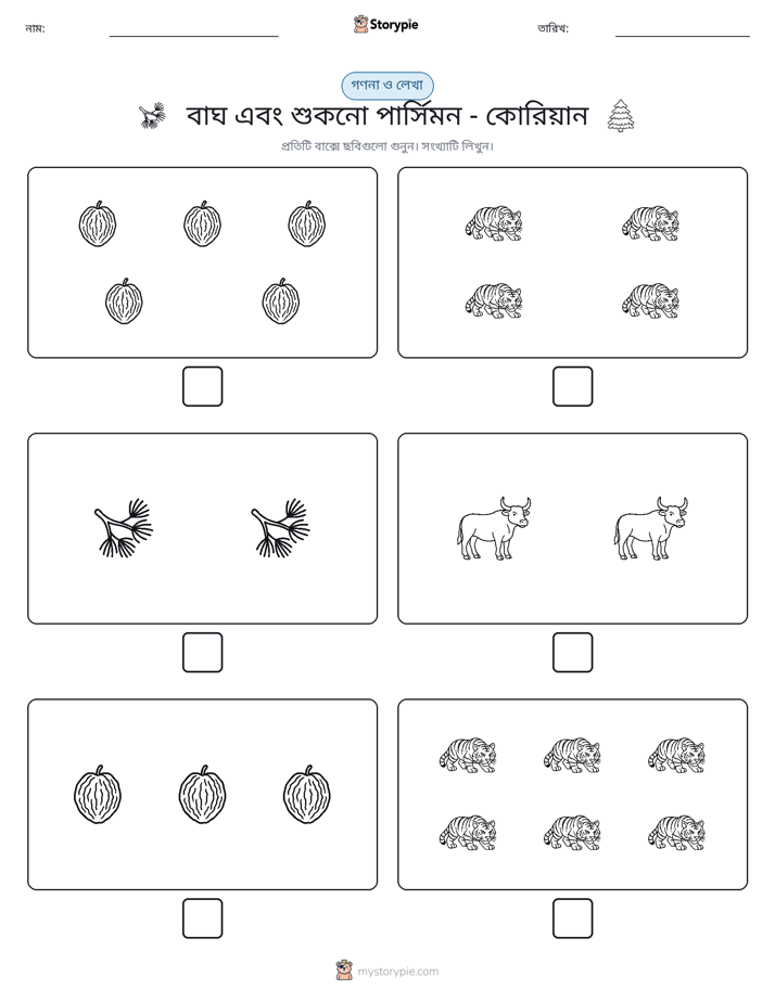 গণনা & লিখুন
