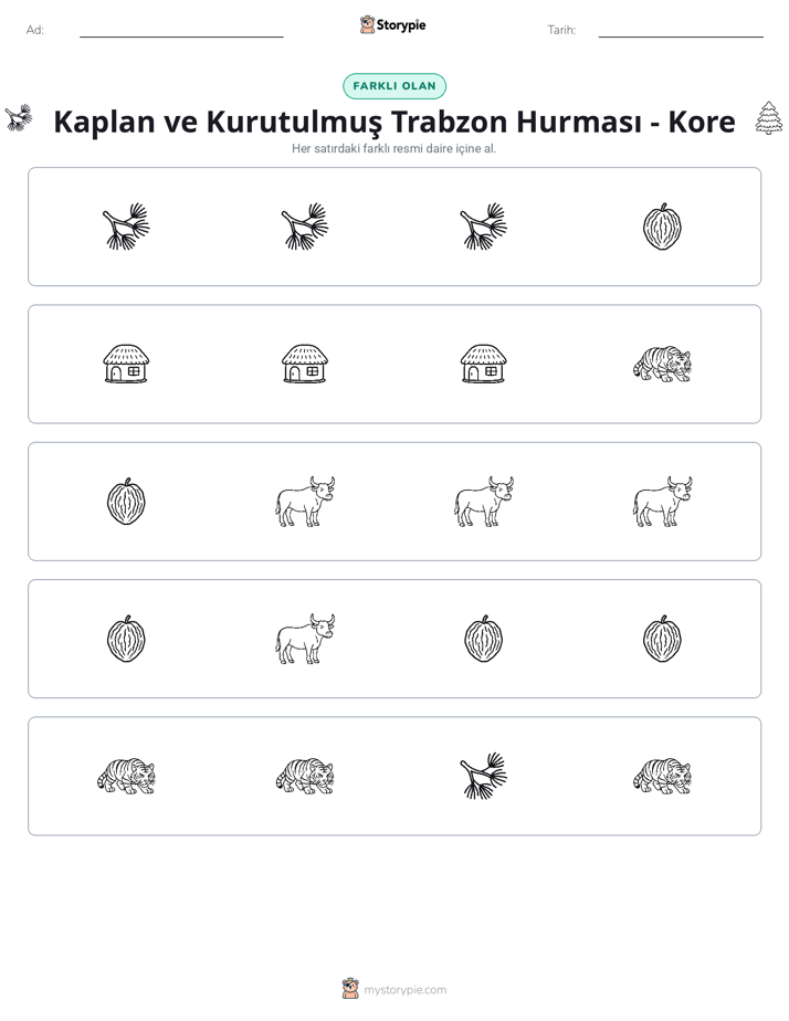 Farklı Olanı Bul