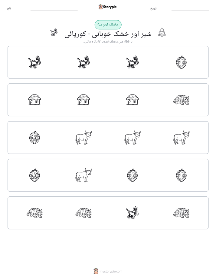 عجیب ایک