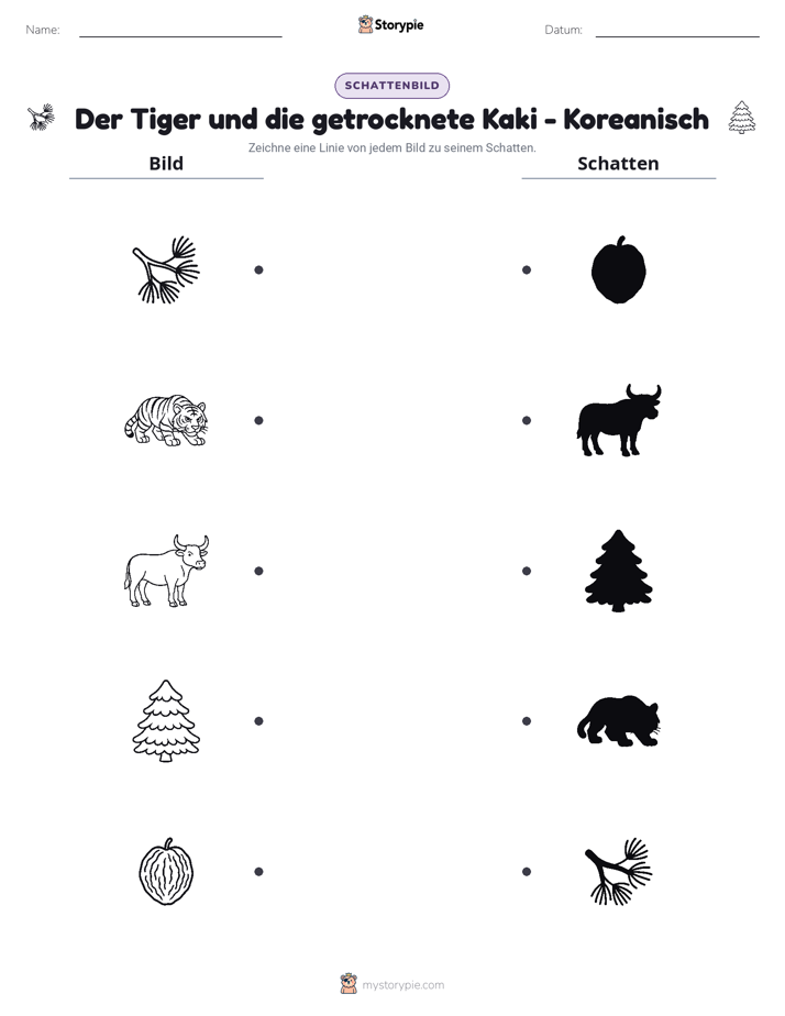Schattenmatch
