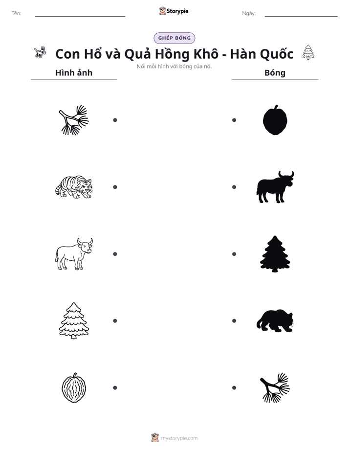 Ghép Hình Bóng