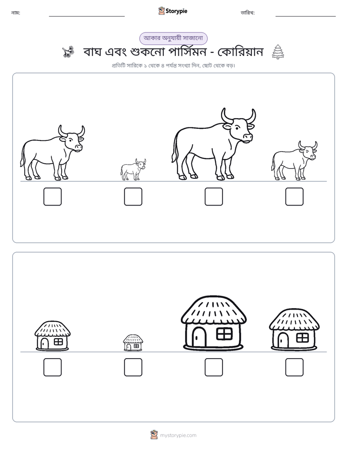 আকারের ক্রম