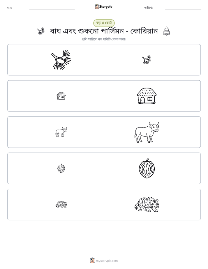সাজানো