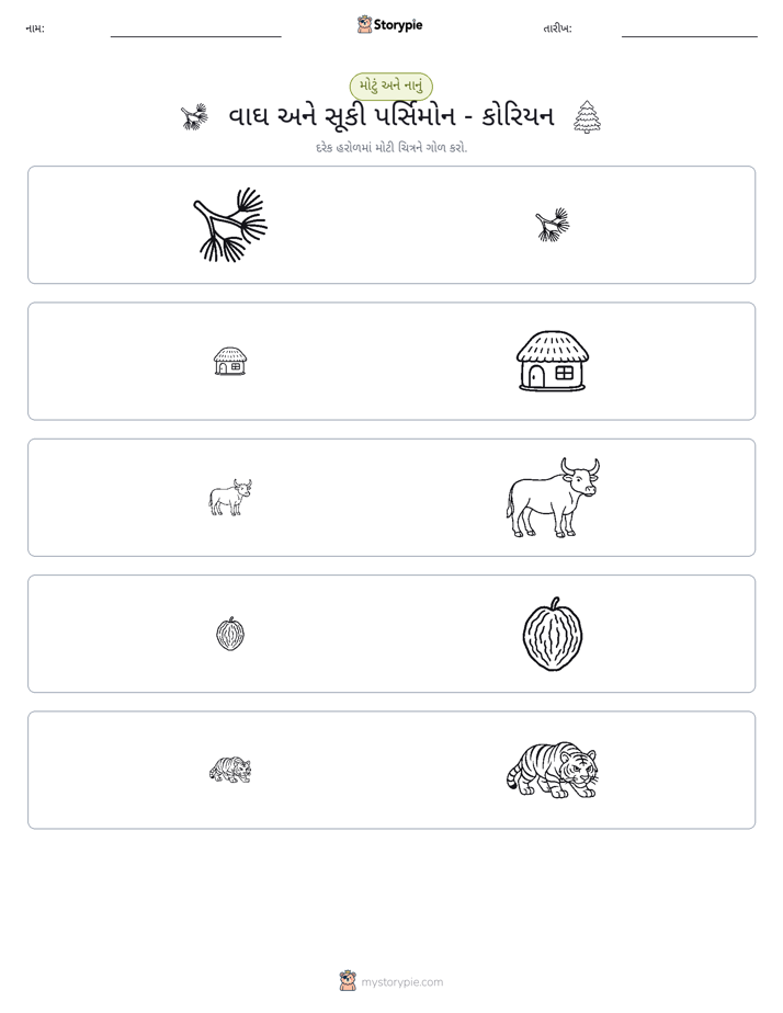 વર્ગીકરણ
