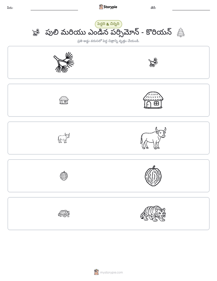 వర్గీకరణ