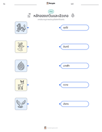 หลักลองเกวินและเอิวเกอ ตัวอย่างแบบฝึกหัดที่พิมพ์ได้