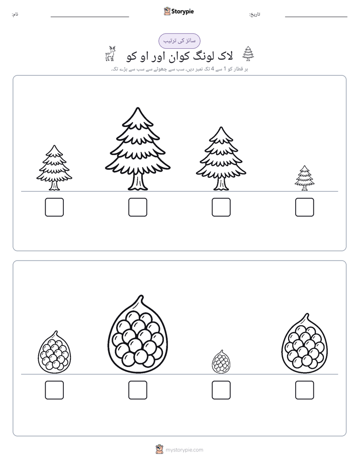 سائز کی ترتیب