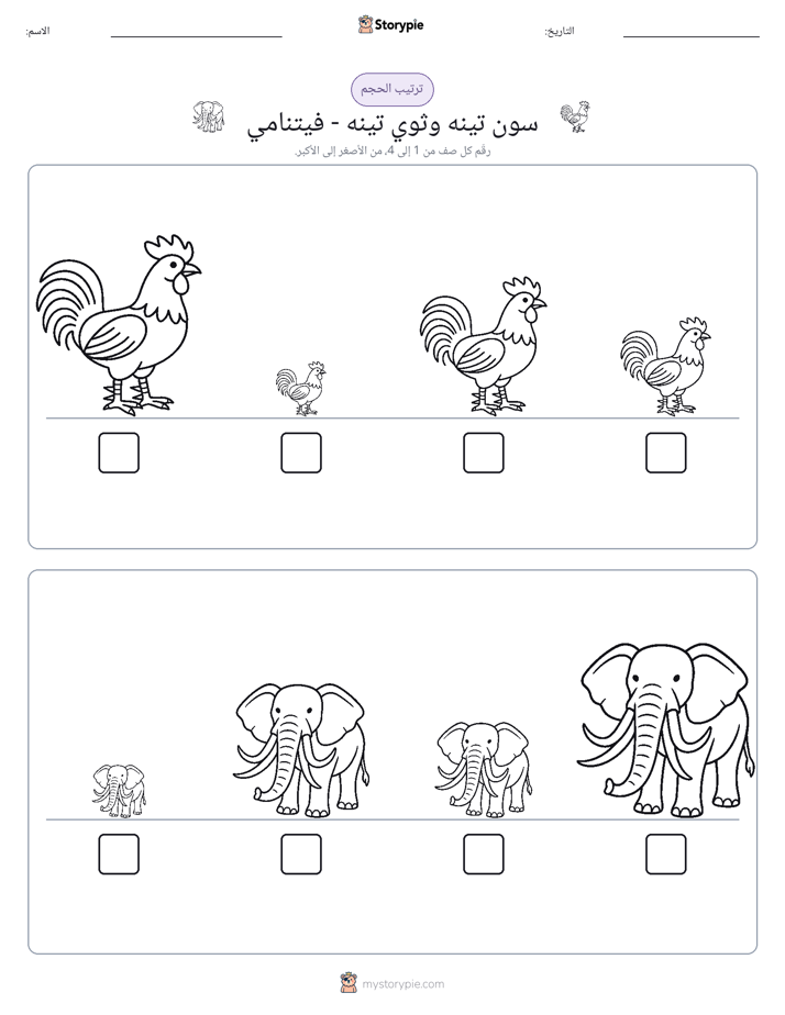 ترتيب الحجم