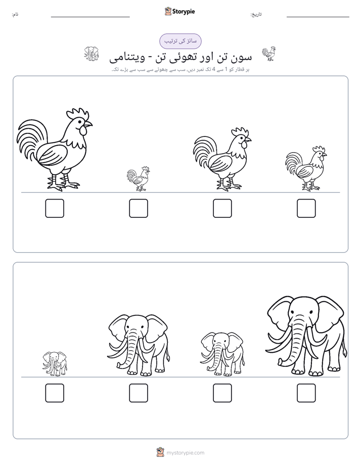 سائز کی ترتیب