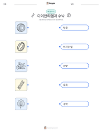 마이안티엠과 수박 인쇄 가능한 워크시트 미리보기