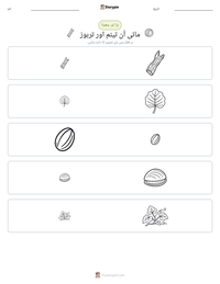 مائی آن تیئم اور تربوز پرنٹ کرنے کے قابل ورکشیٹ کا پیش نظارہ