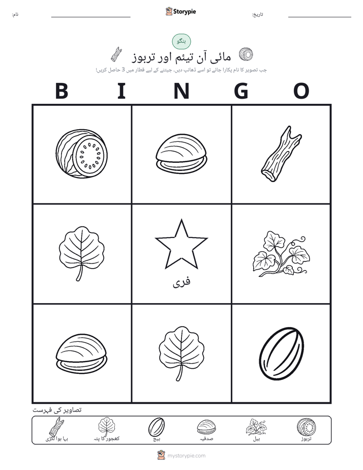 تصویری بنگو