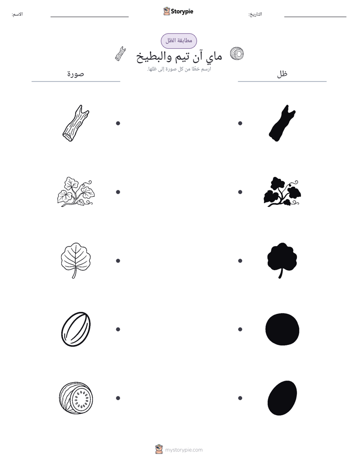 مطابقة الظل