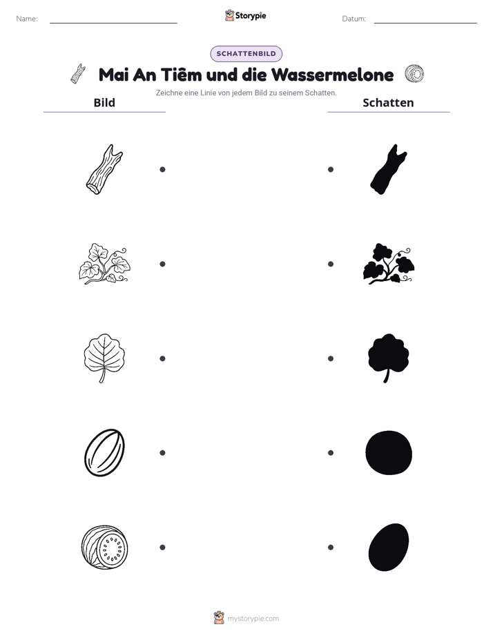 Schattenmatch