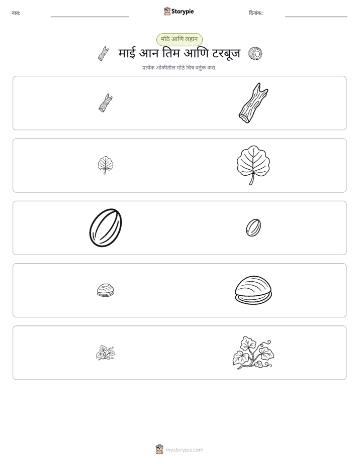 वर्गीकरण