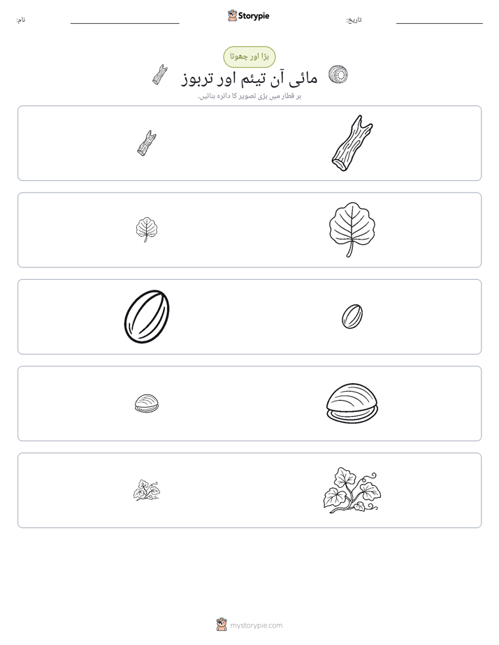 ترتیب دینا