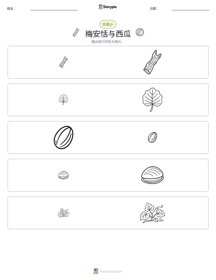 分类