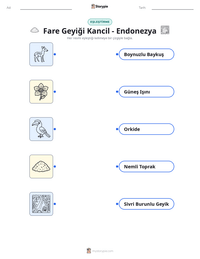 Fare Geyiği Kancil - Endonezya yazdırılabilir çalışma sayfası önizlemesi
