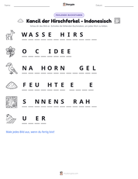 Kancil der Hirschferkel - Indonesisch druckbare Arbeitsblatt Vorschau