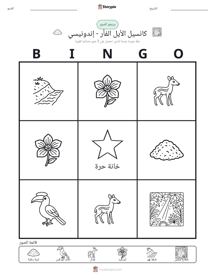 بينغو الصور