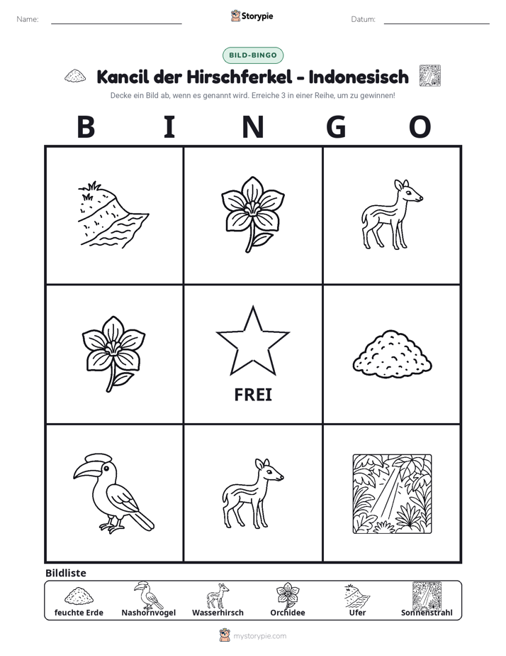 Bild-Bingo
