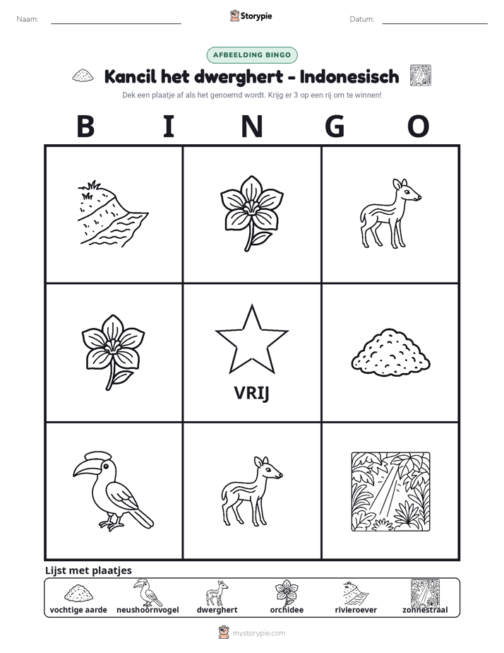 Afbeelding Bingo