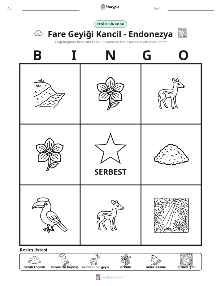 Resim Bingo