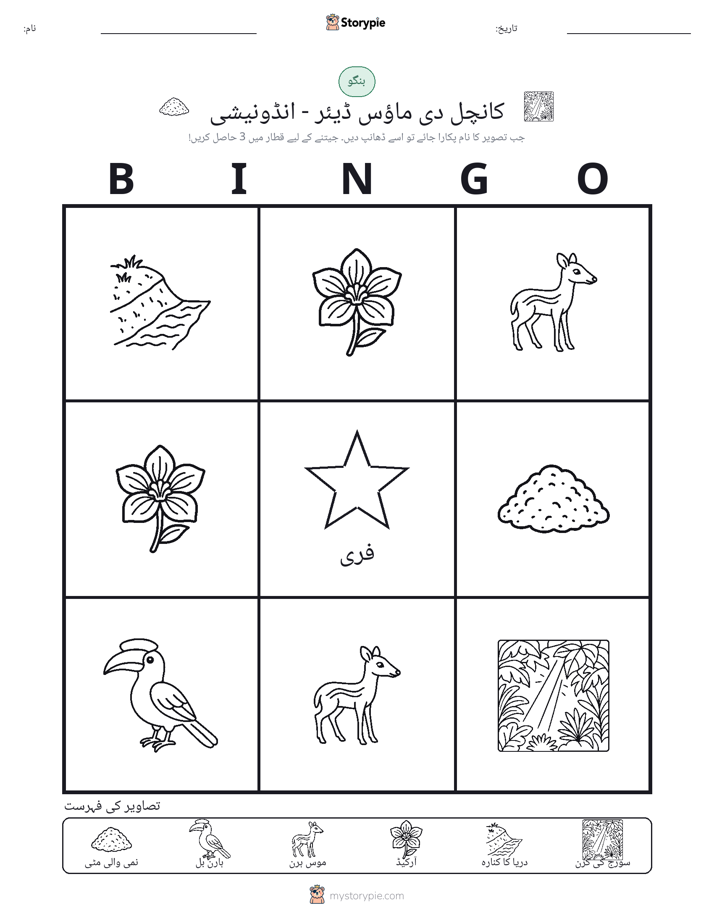 تصویری بنگو