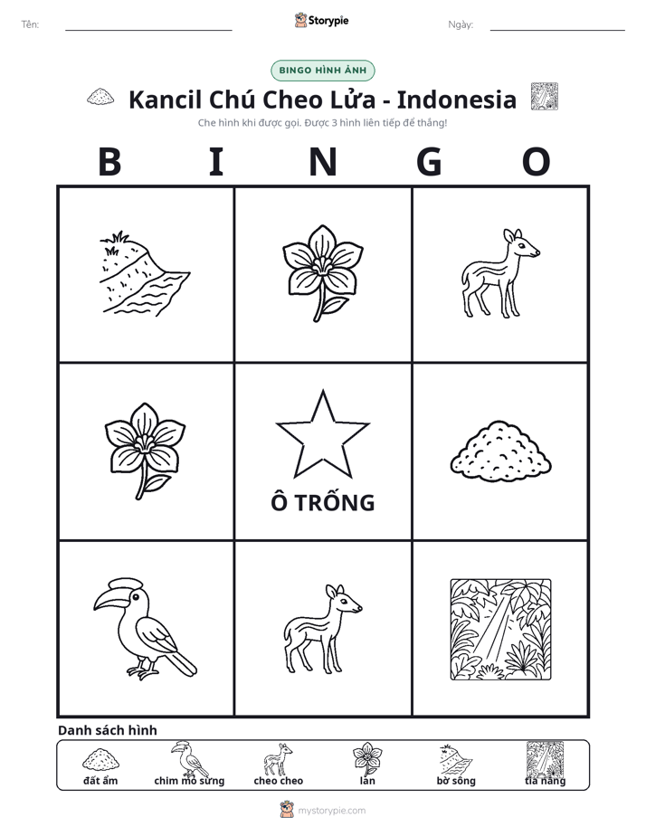 Bingo Hình Ảnh
