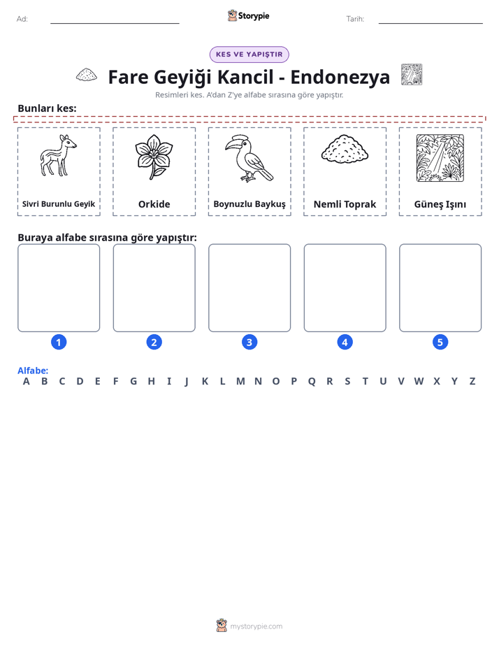 Kes & Yapıştır Alfabe