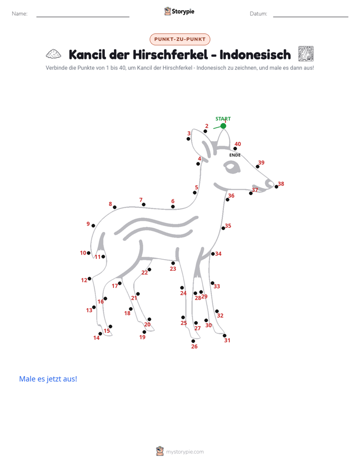 Punkte verbinden