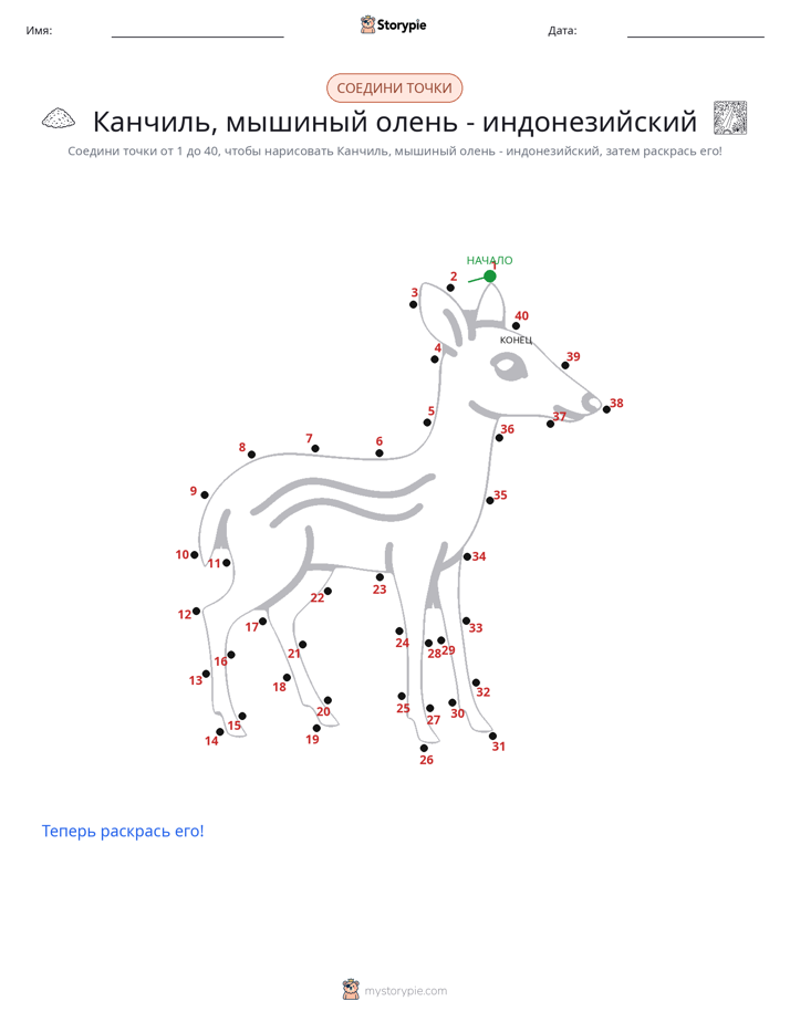 Соедини точки