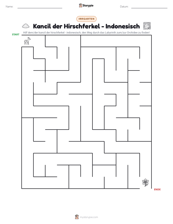 Labyrinth