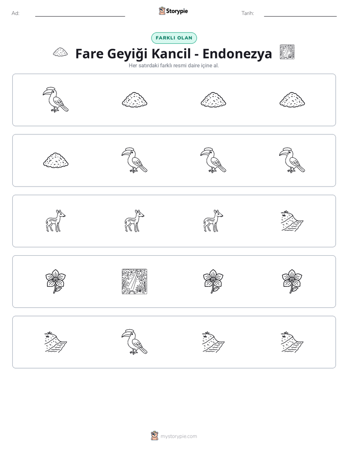 Farklı Olanı Bul