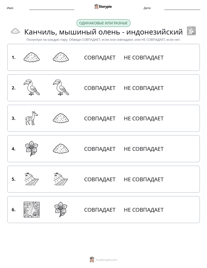 Одинаковое или разное