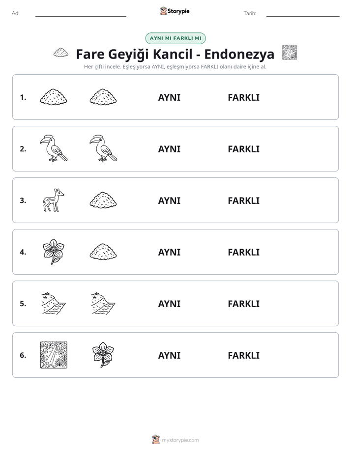 Aynı mı Farklı mı