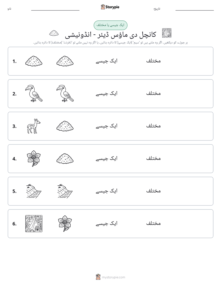 ایک جیسا یا مختلف