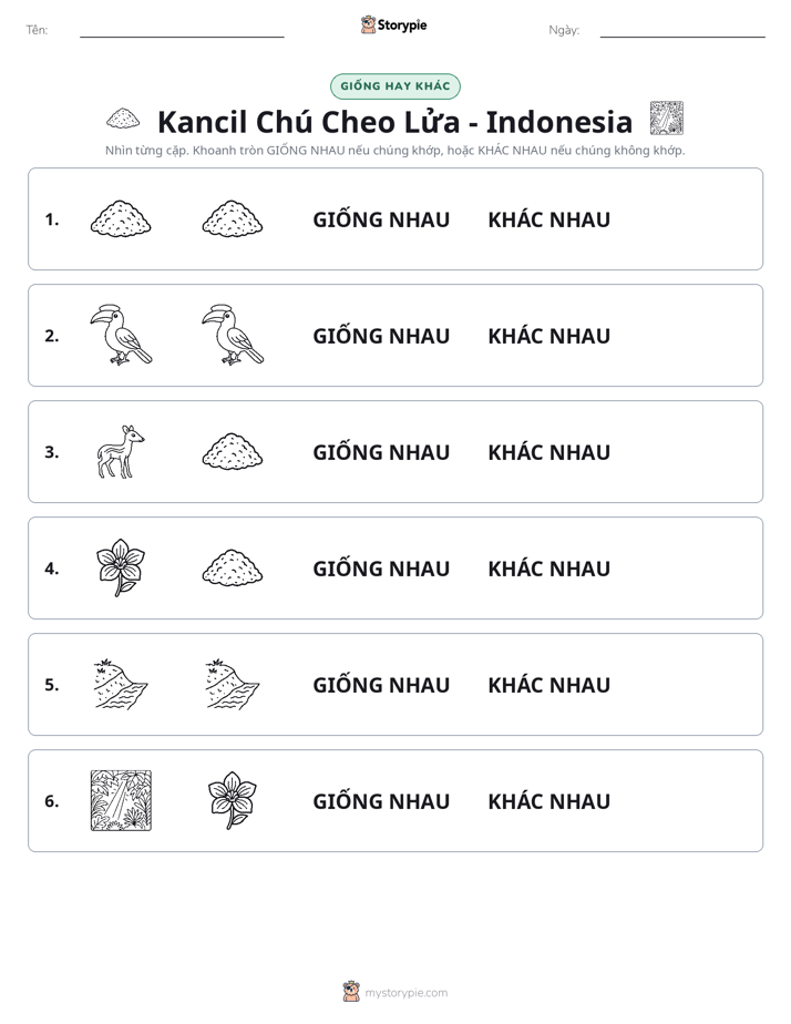 Giống Hay Khác