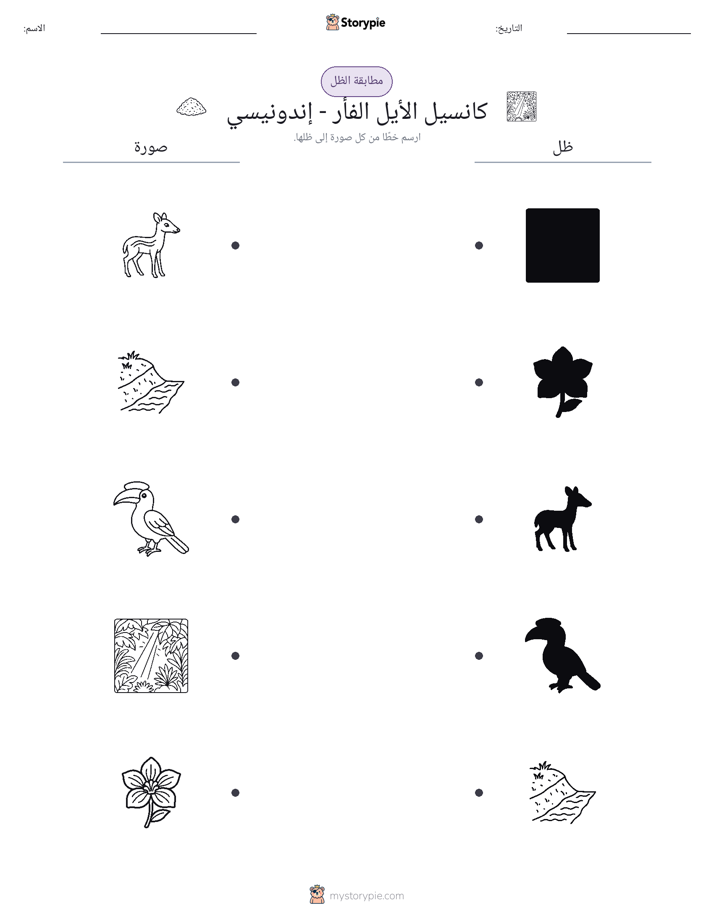 مطابقة الظل