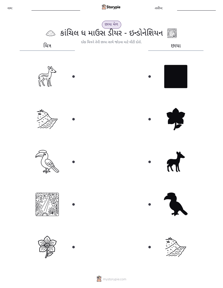 શેડો મેચ