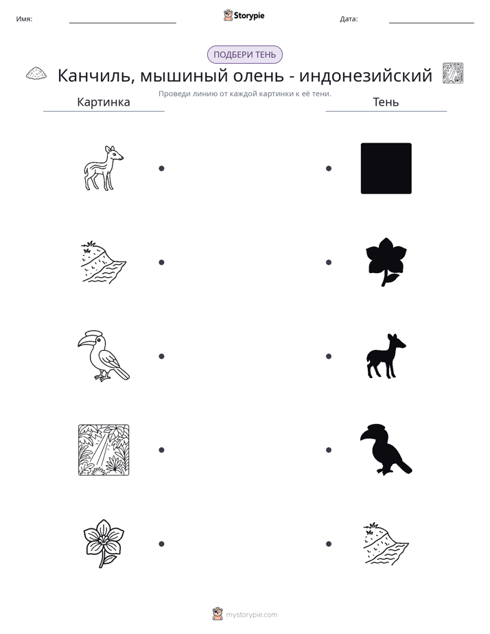 Сопоставление теней