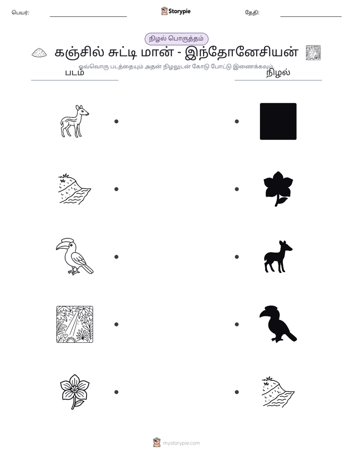 நிழல் பொருத்தம்