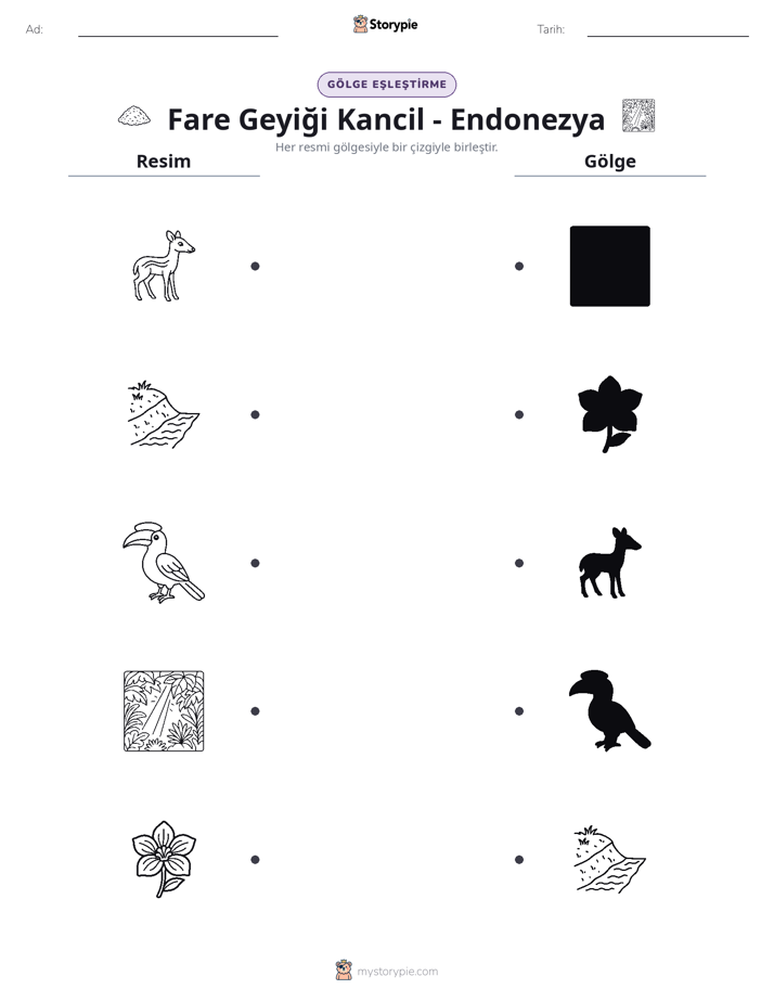 Gölge Eşleştirme