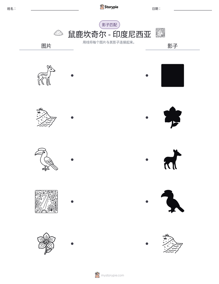 影子匹配