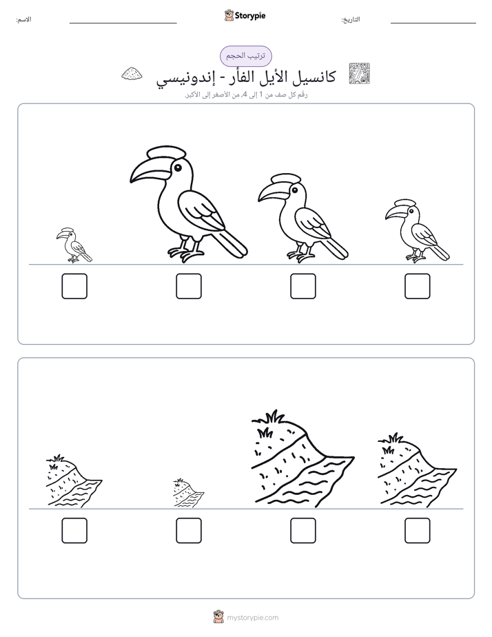 ترتيب الحجم