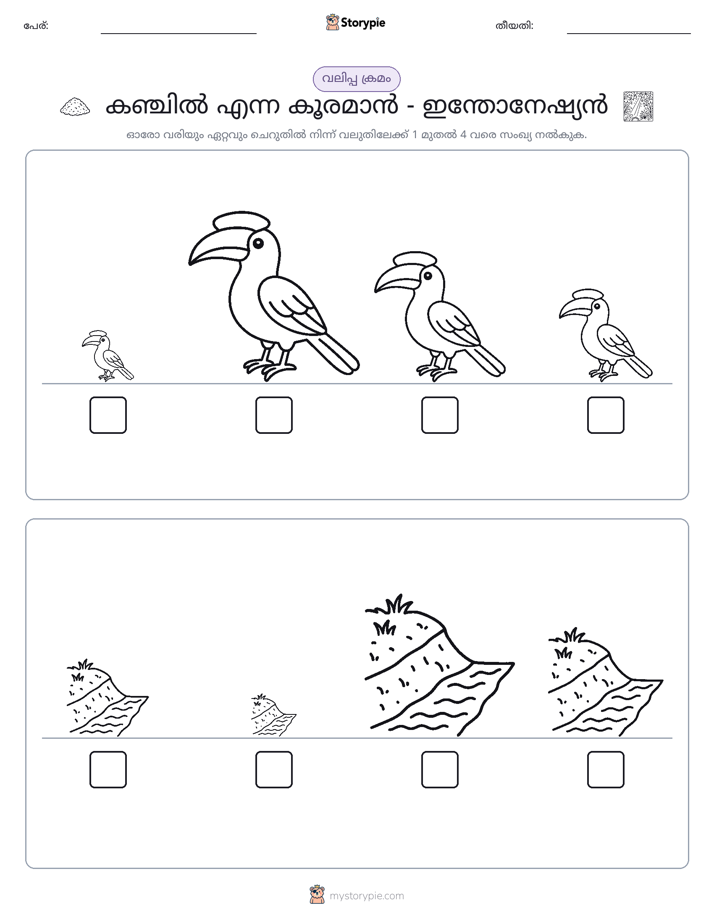 വലുപ്പം ക്രമം