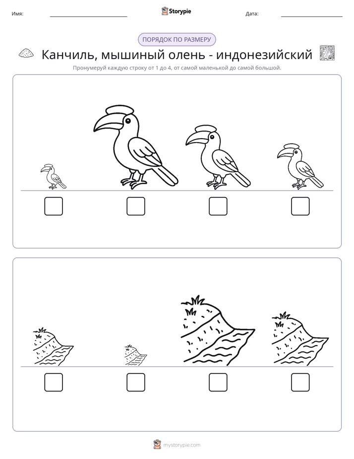 Размеры в порядке