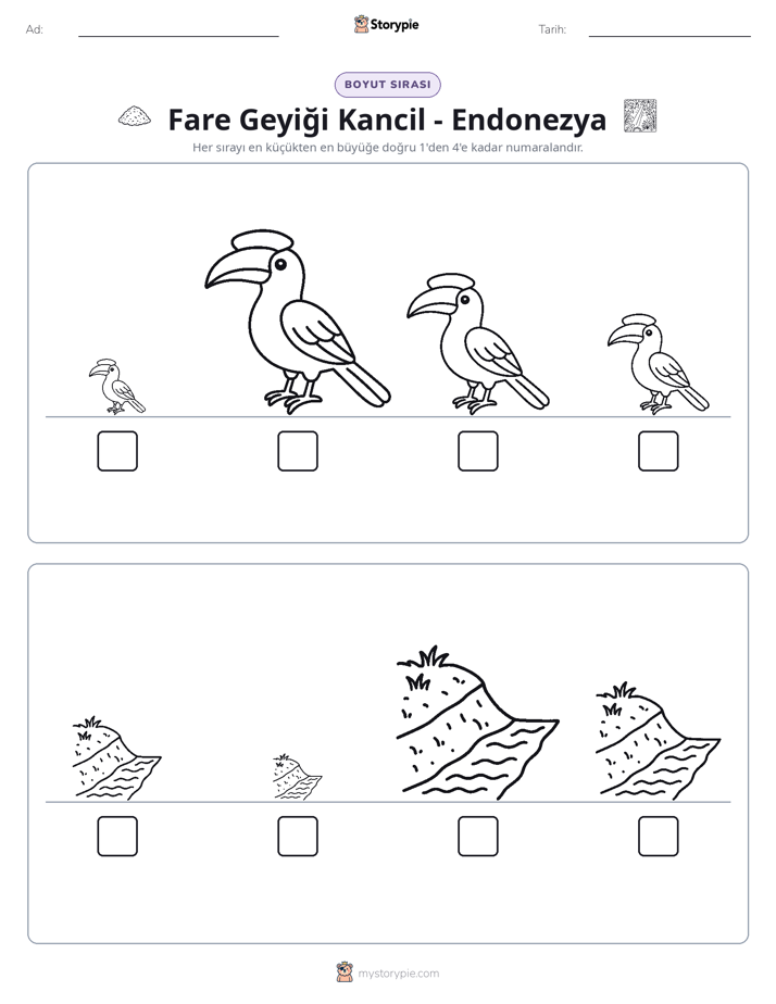 Boy Sıralaması