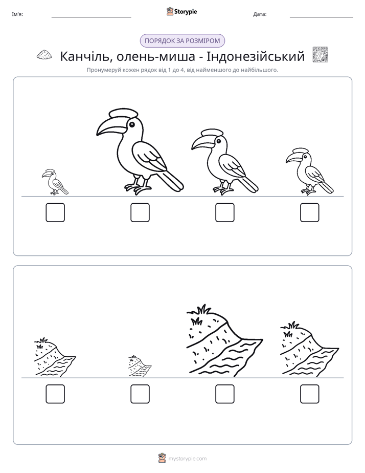 Порядок Розміру