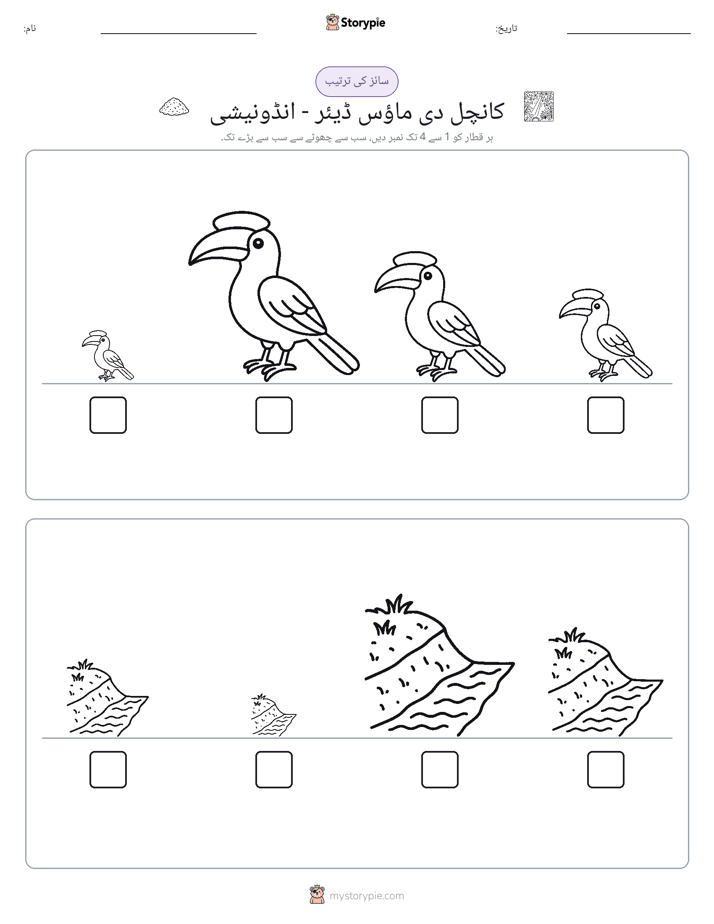 سائز کی ترتیب